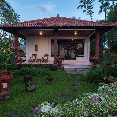 Cabe Bali