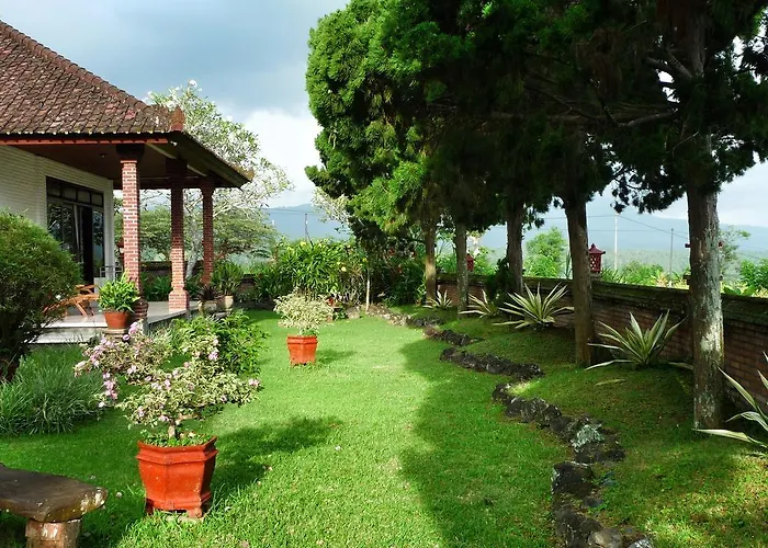 Cabe Bali