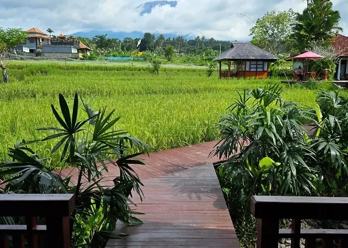 Cabe Bali Jasri