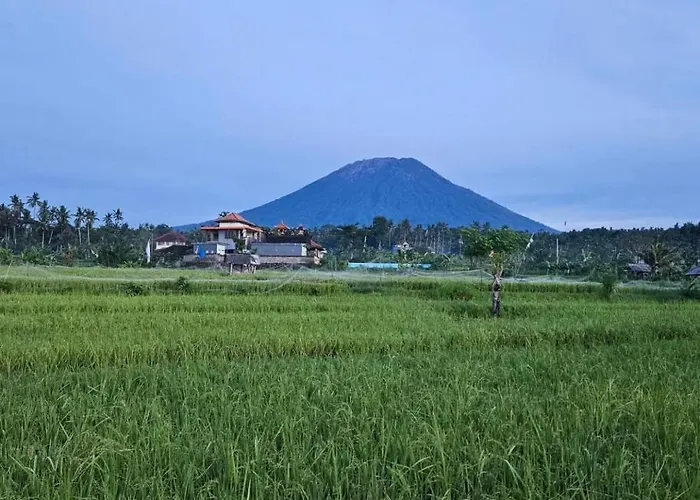 Cabe Bali ゲストハウス Jasri