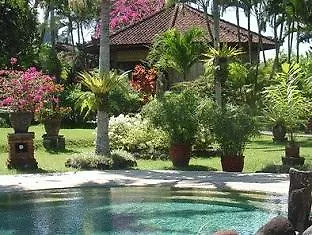 Cabe Bali Jasri